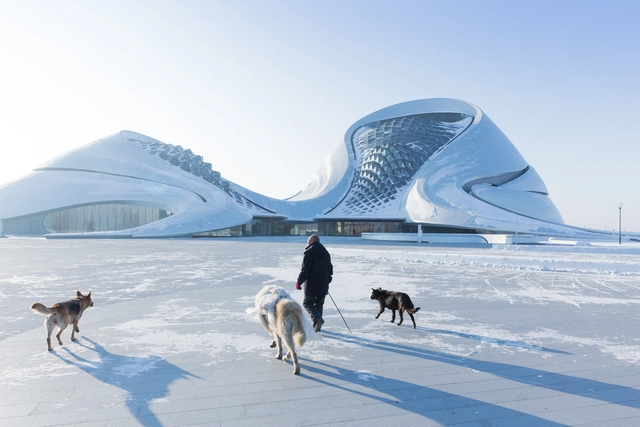 Spotlight: Ma Yansong - Featured Image