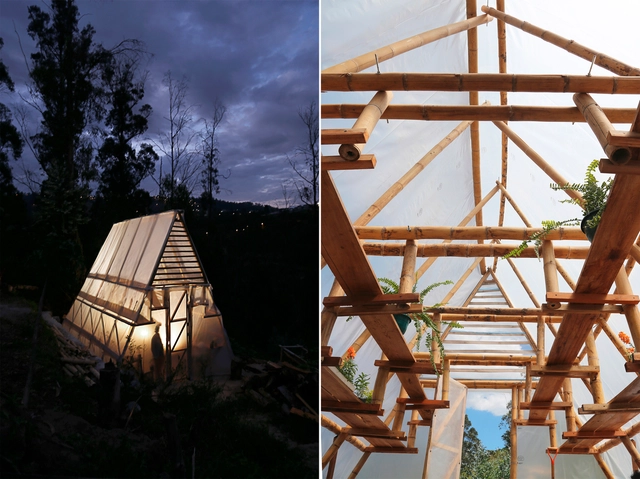 Cómo construir un invernadero de bajo presupuesto con un triángulo de bambú, madera y plástico - Sustentabilidad