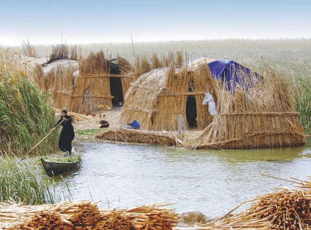 Lo-TEK: Diseño de Indigenismo Radical (Recuperando técnicas indígenas para trabajar junto a la naturaleza) - Imagen Principal