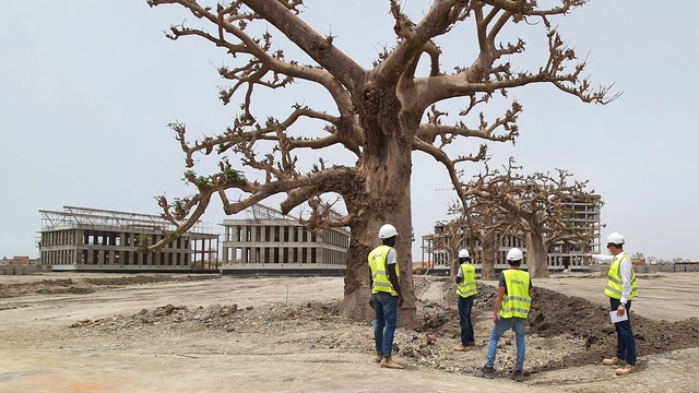 IDOM diseña el futuro parque tecnológico de Senegal - Imagen Principal