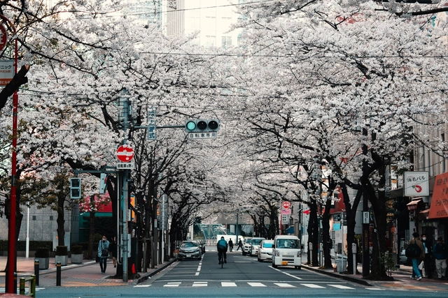 Digital Tourism: Four Ways of Visiting Cities Without Leaving Your Home - Featured Image
