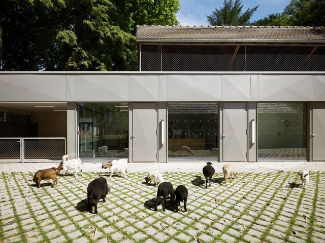20 Projetos que mostram que arquitetura não é só para humanos - Imagem de Destaque