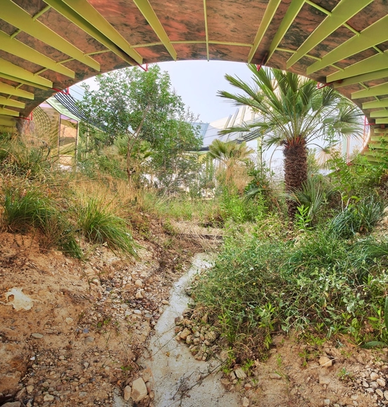 2022 西蒙建筑奖得主：Andrés Jaque ‘Rambla 气候屋’&TO studio ‘ Khitara 音乐公共亭’ - 主图