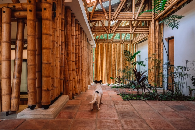 El bambú en la vivienda latinoamericana: 10 casas que muestran el futuro del material en la arquitectura - Imagen Principal