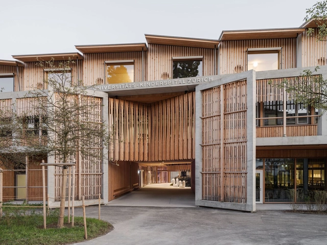 苏黎世大学儿童医院 / 赫尔佐格与德梅隆事务所 - 建筑图, 医院, 表皮