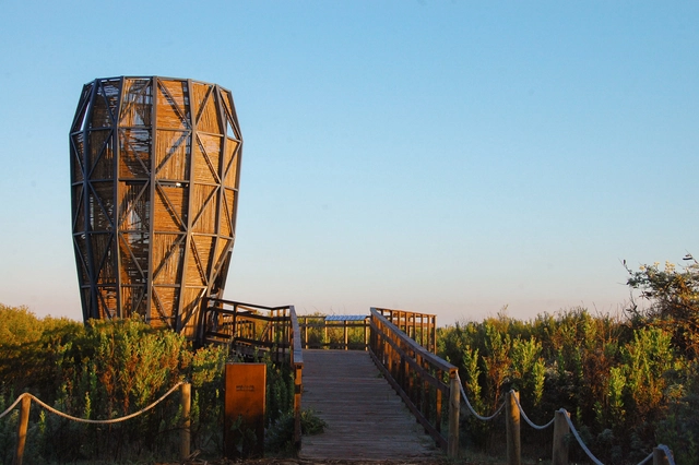 Diseñar en armonía con la naturaleza: arquitectura en humedales urbanos y una búsqueda del bienestar territorial - Imagen Principal